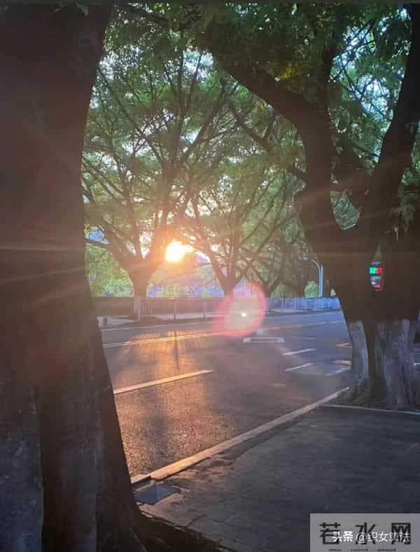 同样做私域核心差距:你在管用户,高手在吸引同频的人!