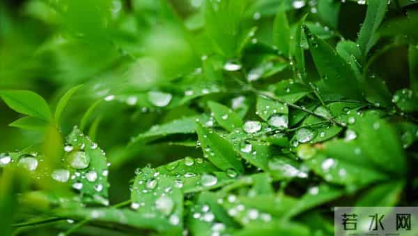 及时止损:40岁后最该学会的人生减法