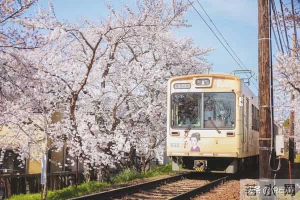 发现一个玄学真相:不要让别人知道你的状态,人生真的很顺!