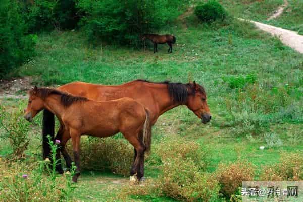 第一名：午马，12月9号，接下来12天，就要喜从天降！