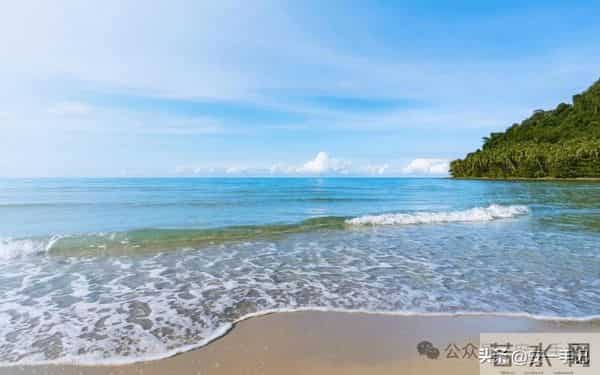 养老黑洞:当代打工人正被父母的退休危机拖垮