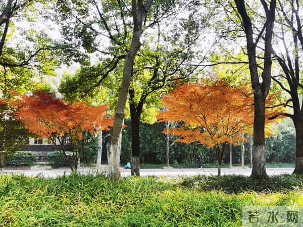 在工程领域,以下三类人还是比较受欢迎的!