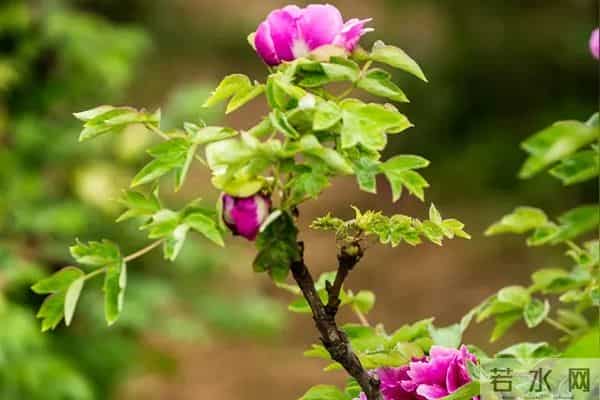 面试上百人后顿悟:很多人找不到工作是有道理的,4个致命错