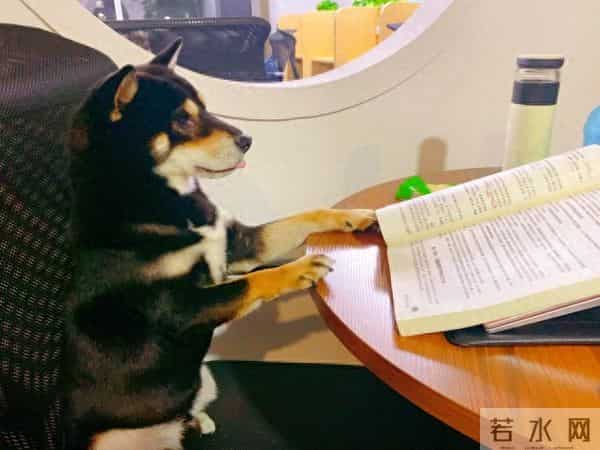 当会计第10年:别再太“听话”,突破职业天花板靠这3点