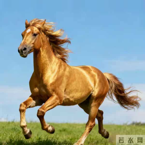 在走上坡路的人就会刷到，好运降临，财运亨通，平步青云！