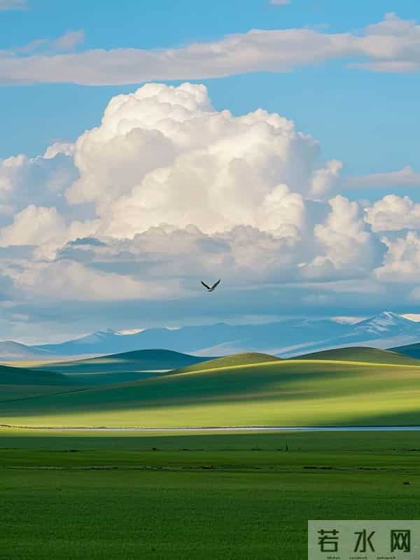 我51岁,深圳24年,终于体会到普通人活着的意义,藏在这4件事里