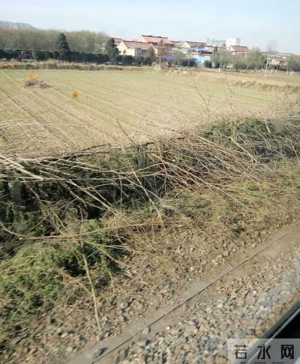 被开除后工龄白瞎了?我跑遍社保局,理清3个关键真相