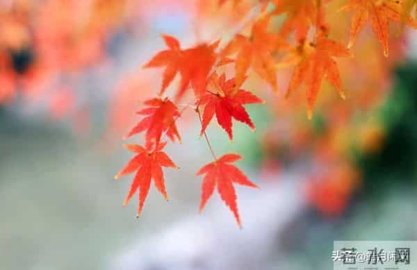 别熬了!你深夜瞎怕的事,99%都是“假的”,戳破真相后瞬间心安