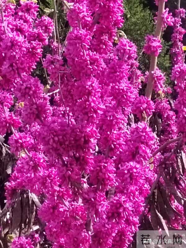 企业职工内退是怎么回事