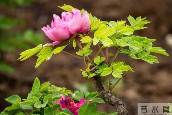 面试上百人后顿悟:很多人找不到工作是有道理的,4个致命错