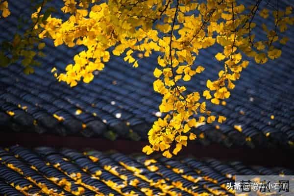 恭喜你,已经走出霉运,迎来全面复苏