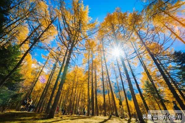 恭喜你,已经走出霉运,迎来全面复苏