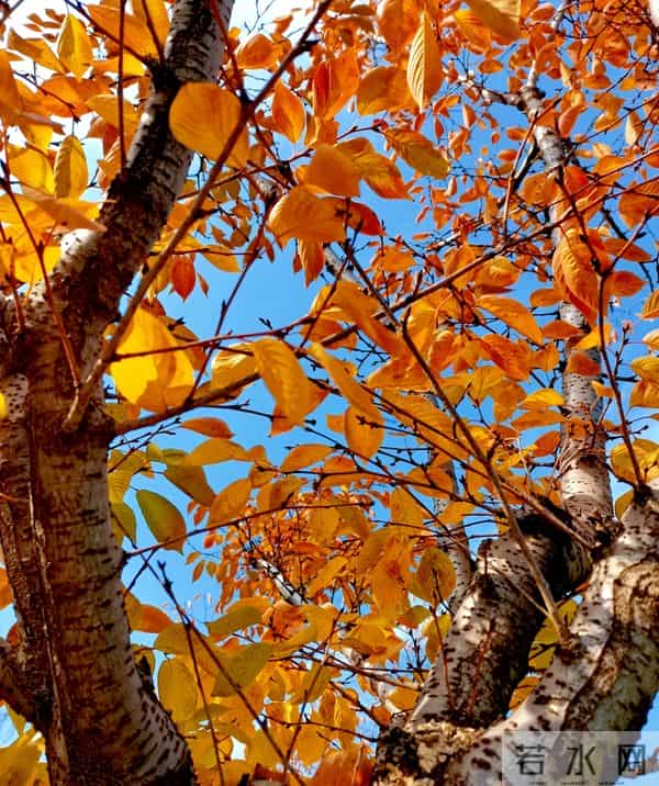 山东人均养老金4001.2元,灵活就业年缴10800元到底要缴多少年?