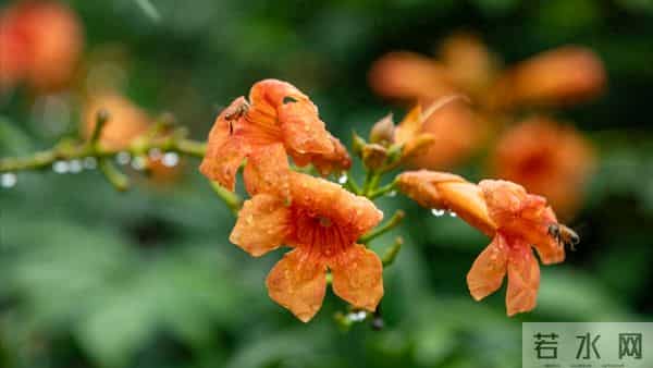 及时止损:40岁后最该学会的人生减法