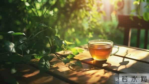 文章与微头条能否同发?帐号垂直如何取会,新手创作者该怎样破局