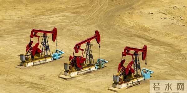 在油田上这么多年班,老职工天天就吃瓜了,没有啥不懂、看不惯的