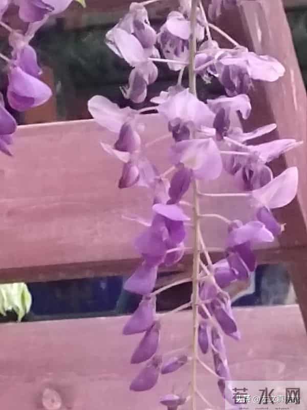 劳动者在同一用人单位多次发生工伤,赔偿金怎么认定