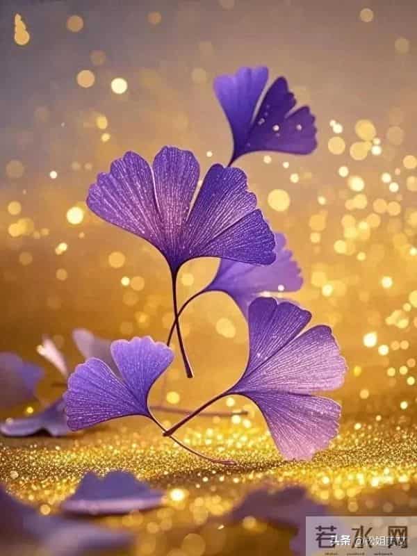 从现在起，你转运的时刻到了，跟自己说句：时来运转，风生水起！