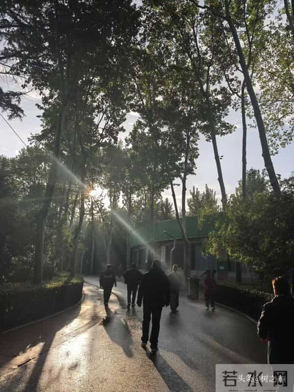 在国企提拔无望,别慌!做到这3点,下次机会可能就是你的