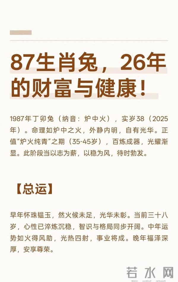 39岁87兔2026指南:财富稳收+健康续航的实用攻略