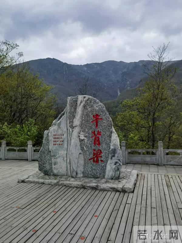 公益性岗位解除劳动关系后工伤待遇及经济补偿的认定