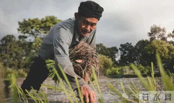 养老黑洞:当代打工人正被父母的退休危机拖垮