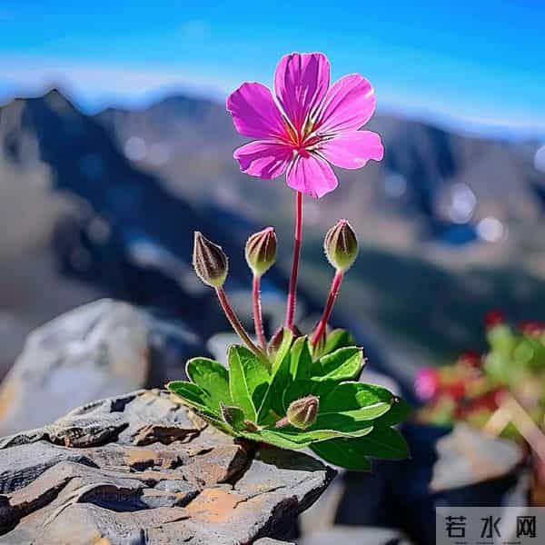 高手从不明着硬刚!这36个处世套路,帮你避开90%的人情陷阱