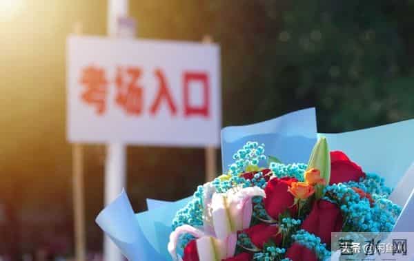 花3年考个成考,到底值不值?了解朋友的经历,发现真相有点扎心