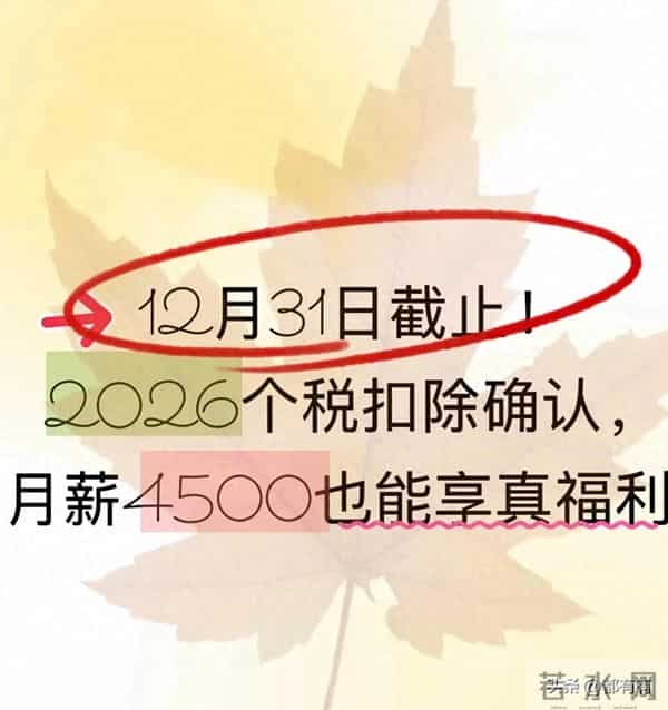 12月31日截止!2026个税扣除确认,月薪4500也能享真福利