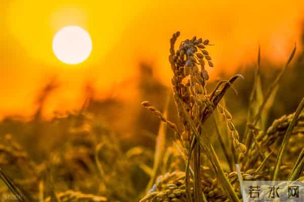 2025年快过完:别卷钱了,这些收获更顶