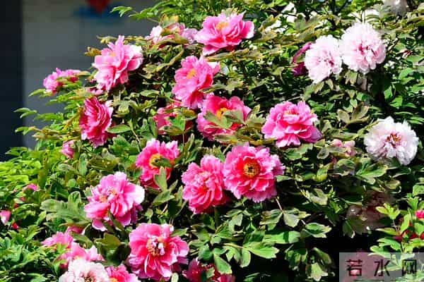 面试上百人后顿悟:很多人找不到工作是有道理的,4个致命错