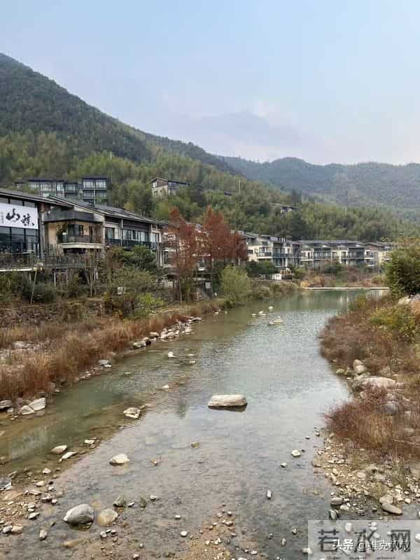 37岁,被互联网大厂裁了,她如何选择新生活?