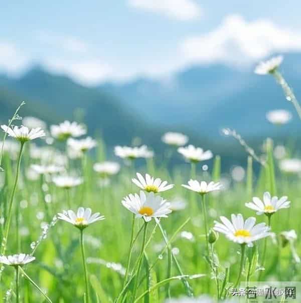 别等好运找上门!自己动手,创造属于你的幸运!