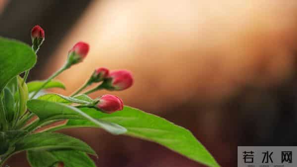 及时止损:40岁后最该学会的人生减法