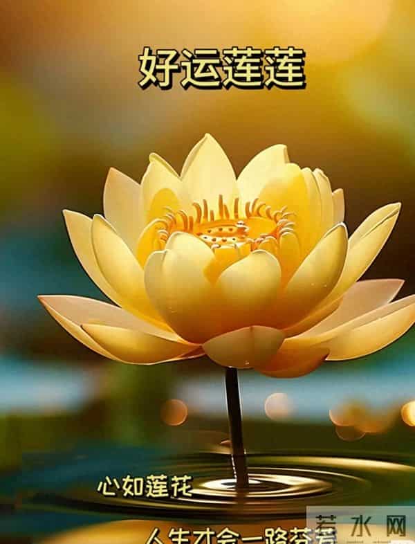 恭喜!你马上要发财了:这5个“富贵信号”,出现一个就偷着乐