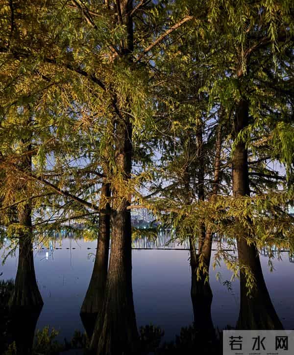 84年国企合同制,1992年前工龄算视同缴费吗?我查遍政策摸清真相