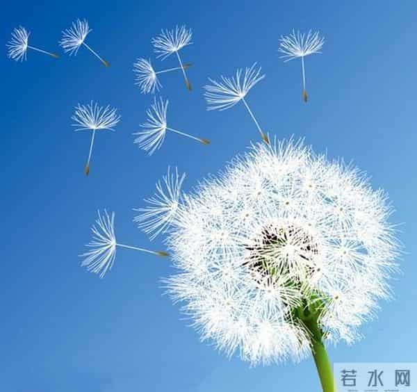 发现没:你越努力经营人脉,你就越“不值钱”