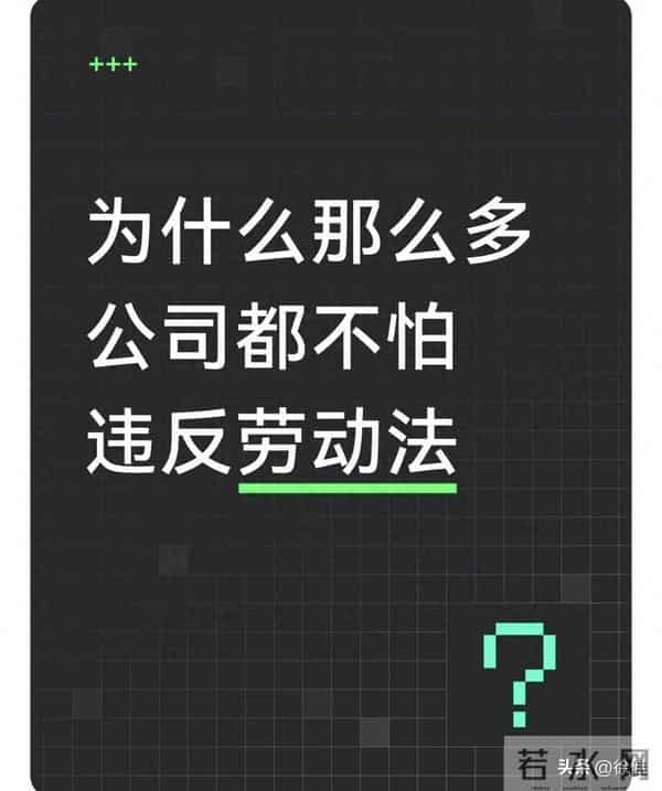 为什么那么多公司都不怕违反劳动法