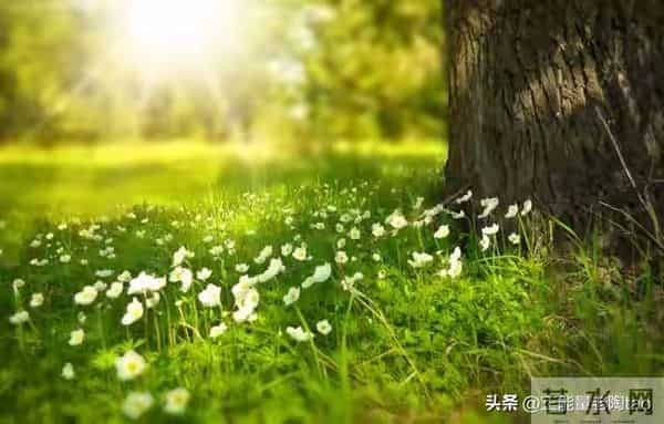 失业后别乱找零工！2个国家免费平台：半小时能用，活稳钱还日结