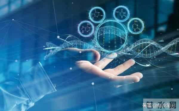 别再死磕“搞钱”了!把一件事做到极致,钱会主动追你跑