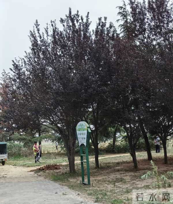 被开除后工龄白瞎了?我跑遍社保局,理清3个关键真相