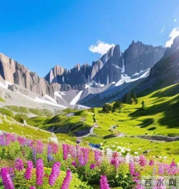 别等好运找上门!自己动手,创造属于你的幸运!