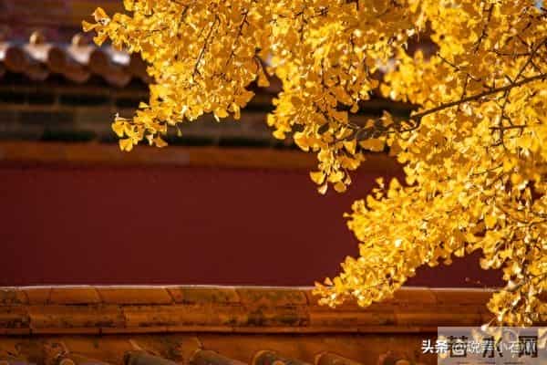 恭喜你,已经走出霉运,迎来全面复苏