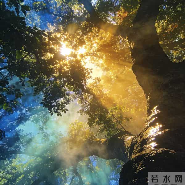 越缺大钱越要懂:赚不到钱,根源是少了这4个格局思维