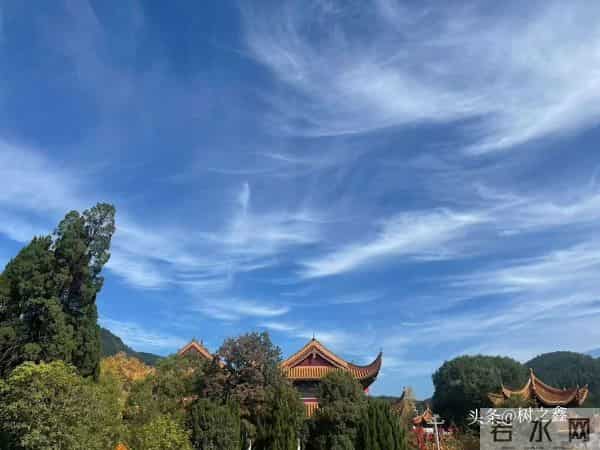 在单位里,最受人尊敬的,是那些有本事而又不舔领导的人。