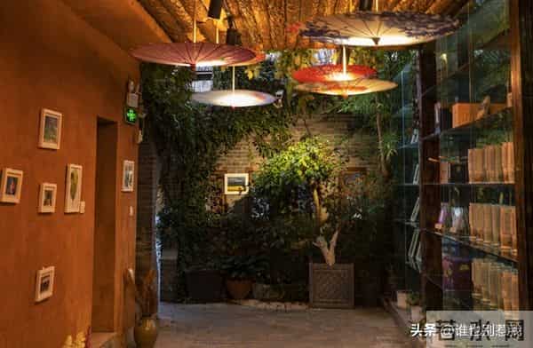 文章与微头条能否同发?帐号垂直如何取会,新手创作者该怎样破局