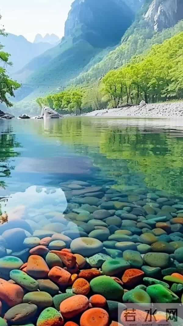 你信不:待在舒适区里的人,才是真正的聪明人