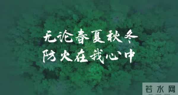 2000元-人!这项补贴抓紧申领→