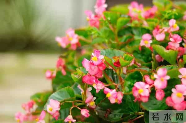 面试上百人后顿悟:很多人找不到工作是有道理的,4个致命错