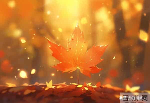 别熬了!你深夜瞎怕的事,99%都是“假的”,戳破真相后瞬间心安